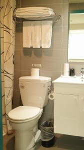 台北久居栈旅店的浴室配有卫生间、水槽和毛巾。