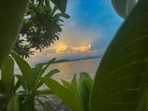 席昌岛席昌岛汝布塔万度假酒店的从植物后面欣赏海景