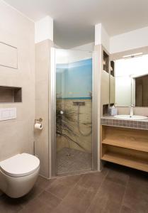 卡尔斯哈根Meeresbrise的带淋浴、卫生间和盥洗盆的浴室