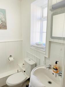 兰戈伦Cambrian House的白色的浴室设有卫生间和水槽。