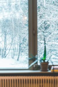 博斯塔德FURU Hostel & Café的窗户享有雪覆盖的森林美景