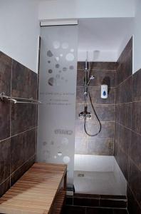 MăraşuOld Fane's Lodge的浴室里设有玻璃门淋浴