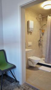 霍芬霍芬旅馆的带淋浴、卫生间和椅子的浴室