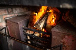 邓法纳希科尔克瑞甘米尔山林小屋的砖炉里的火,里面放着食物