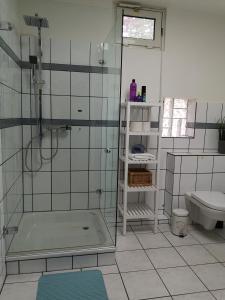 索尔陶Lüttje Heide-Huus的带淋浴、卫生间和盥洗盆的浴室