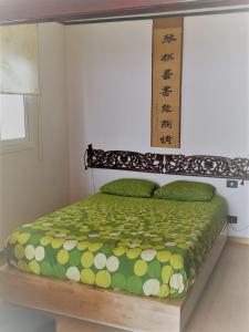 蒂亚斯Budda house Puerto del carmen.的一间卧室配有一张带绿色和黄色棉被的床