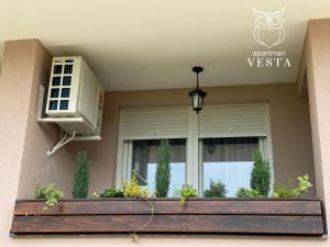 斯雷姆斯卡米特罗维察VESTA Apartman的楼前有种植园的窗户