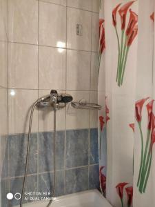 苏卡雷斯Araxovoli Studios - Aραξοβολι Studios的浴室配有带浴缸和淋浴帘的淋浴