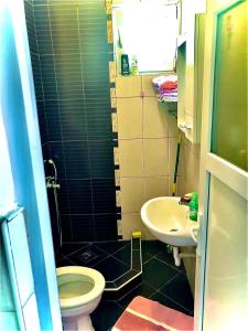 巴尔Eco lodge apartment的一间带卫生间和水槽的小浴室