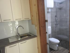 阿伊多夫什契纳Small holiday houses的浴室配有卫生间、盥洗盆和淋浴。