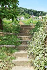 维拉尼Remete-lak的花田里的石头楼梯