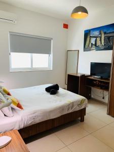 Hostel Malti Budget客房内的一张或多张床位