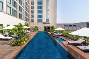 艾哈迈达巴德艾哈迈达巴德凯悦酒店的酒店设有带躺椅和遮阳伞的无边泳池。