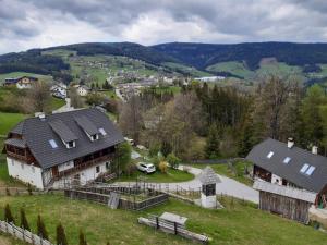 菲施巴赫Chalet Teufelsteinblick的山丘上房屋的空中景致