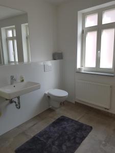 BrackenheimFerienwohnung的一间带卫生间、水槽和镜子的浴室