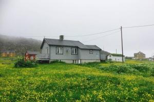 HavningbergGrandfathers house at the end of Europe, Varanger的坐在黄色花田中的房屋