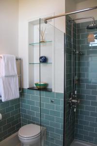 Trèves-CunaultManoir de Beauregard - Cunault的浴室设有淋浴、卫生间和蓝色瓷砖。