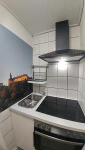 巴特维尔东根Ferienwohnungen am Kurpark的一间带水槽和炉灶的小厨房