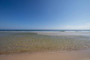 奥兰治比奇Tidewater Condos on Orange Beach的海浪带水的海滩