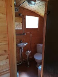 尤卡尔内Imantas nams的小木屋内的浴室设有卫生间和水槽。