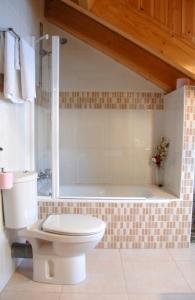 埃斯波特卡萨科洛姆乡村酒店的一间带卫生间和浴缸的浴室