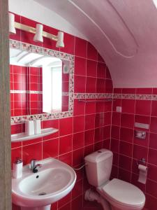 达那撒扎乌Hotel a Hostinec Tálský mlýn的红色的浴室设有卫生间和水槽
