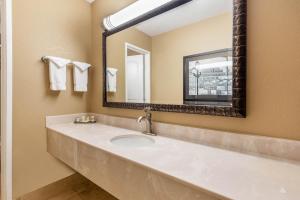 西雅图拉奎恩特西雅图市中心酒店和套房的一间带水槽和镜子的浴室