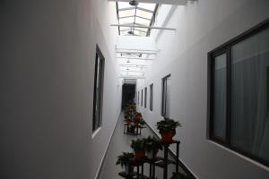 哈尔滨7天优品·哈尔滨学府路店的楼内带有盆栽的走廊