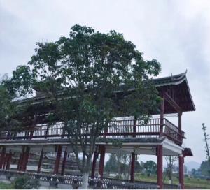 Yung-chiang7天酒店榕江滨江大道店的前面有棵树的建筑