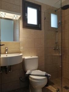 阿尔戈斯托利翁TA DIDYMAKIA APARTMENTS.的一间带卫生间、水槽和镜子的浴室