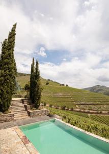 皮尼昂Quinta Nova Winery House - Relais & Châteaux的一座位于葡萄园中间的游泳池,种植了树木