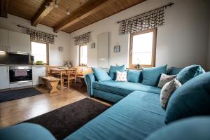 瑟绍Weingarten & Appartement Auszeit - Therme Loipersdorf的一间带蓝色沙发的客厅和一间厨房