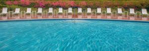 伯林格姆旧金山机场凯悦酒店的庭院旁带椅子的游泳池