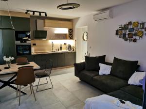 弗尔萨尔Romana Dream apartment的带沙发和桌子的客厅以及厨房。