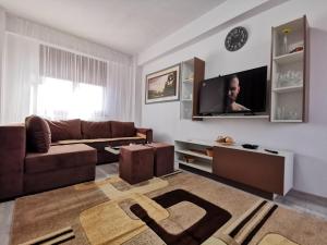 康斯坦察VIP Apartment-Brilliant Apartments的带沙发和电视的客厅