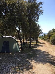曼德雷Camping Sugar的土路树荫下的帐篷