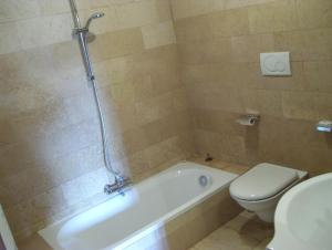 法萨诺Agriturismo Locanda Ventura的带浴缸、卫生间和盥洗盆的浴室