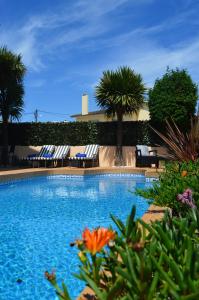 卡斯卡伊斯Lawrence House - Deluxe - Cascais的一个带躺椅的游泳池,棕榈树