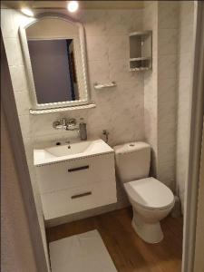 什切尔克Willa Orle Gniazdo的一间带卫生间、水槽和镜子的浴室