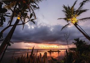 高尔The Postcard Galle的棕榈树和小船的海滩上的日落