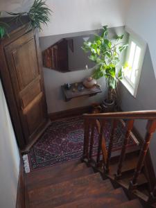 班什Les Remparts的走廊上设有楼梯,有门和植物