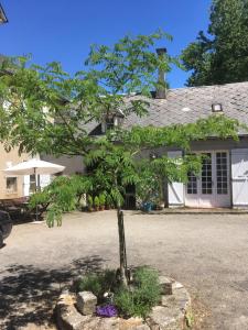 阿尔纳克－蓬帕杜尔Maison Lyre, Pompadour的房子前面的小树