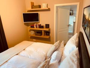 阿舍贝格Penthouse-Suite am Plöner See的卧室配有一张床,墙上配有电视。