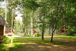Renda穆泽尼基露营地的林中树丛,有房子