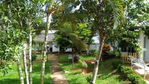 巴西利亚Alt House Qi 02 Lago Norte的种有棕榈树和白色长凳的花园