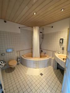 Schloss Hainfeld的一间浴室