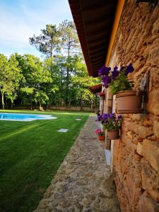 NogueiraCasas do Prazo - Turismo Rural的石墙,有盆栽植物和院子