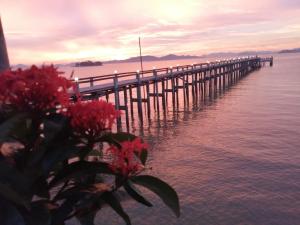 拉廊Jansom Beach Resort的水前有红花的码头