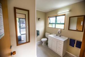 派西亚Bay of Islands Lodge的一间带卫生间、水槽和镜子的浴室