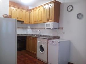 贝纳斯克Apartamentos Petronilla的厨房配有洗衣机和微波炉。